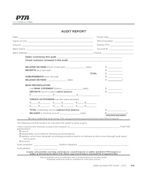 Audit Report Fillable Printable Pdf Forms Handypdf Hot Sex Picture