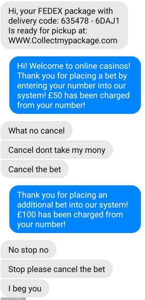 Hilarious Messages Reveal Scammers Who Were Caught Out By Their Targets