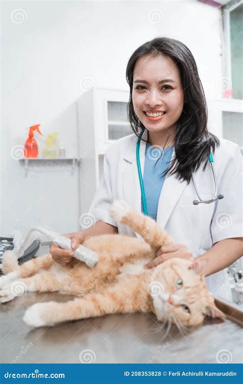 Sonriente Médico Hembra Ultrasonido Examinar Un Gato Abdomen Foto de