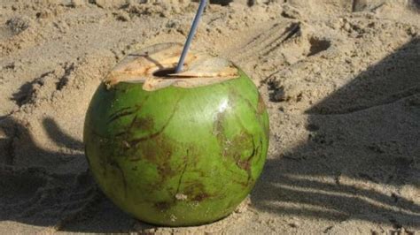 Minum Air Kelapa Bisa Bikin Cepat Langsing Ini Waktu Terbaik Konsumsinya