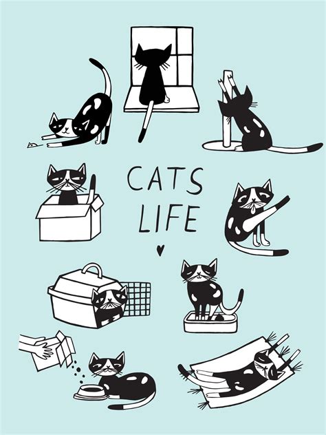 Cats Life Comic Doodle Illustration Hand Drawn Kitten In Various