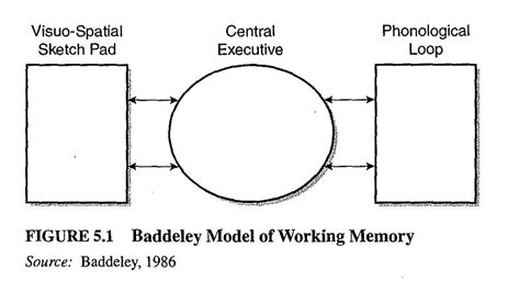 Every Study You Need To Know For As Psychology Baddeley And Hitchs