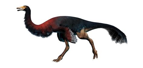 11 Gallimimus Facts - Facts.net