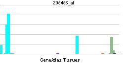 T cell surface glycoprotein CD3 epsilon chain - Alchetron, the free ...