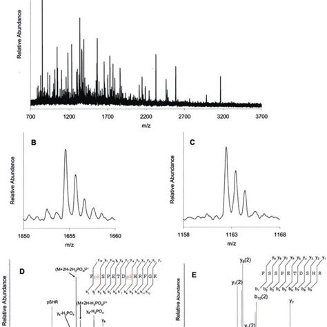 Positive Ion Maldi Tof Mass Spectrum Of The Tryptic Digest Of The Cpt I