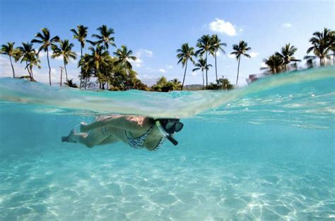 The world's best snorkeling destinations - Fratellos Pizzeria