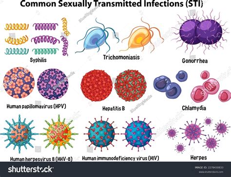 Common Sexually Transmitted Infections Sti Illustration Stock Vector Royalty Free 2278430833