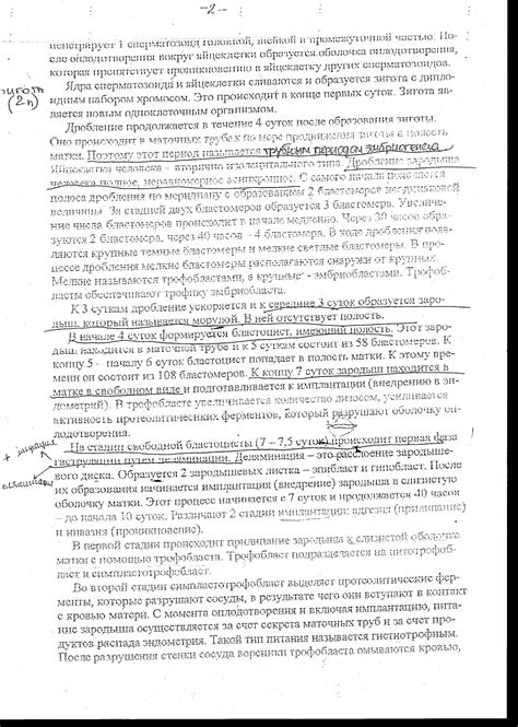 11-Эмбриология