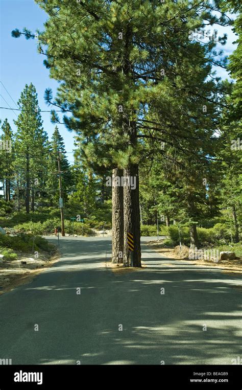 Tahoe City, Lake Tahoe scenes, California Stock Photo - Alamy