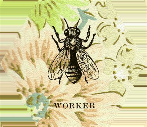 Vintage Honey Bee Backgrounds for Notebooks , Mugs , Posters - Etsy