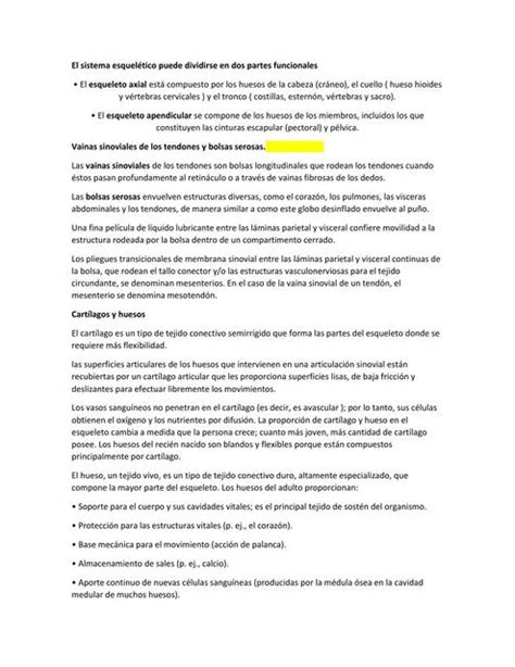 El sistema esquelético puede dividirse en dos part BRYAN SEBASTIAN