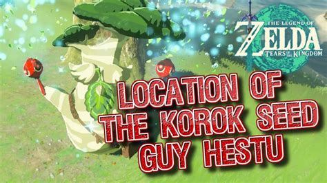 The Legend Of Zelda Tears Of The Kingdom Location Of Korok Seed Guy