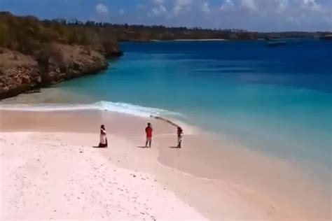 Pantai Ini Hanya Ada Dua Di Indonesia Pantai Pink Lombok Dari Pecahan