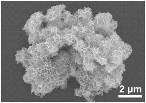 一种双功能无定形FeMn MOF 74纳米花材料及制备方法和应用与流程