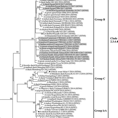 Phylogenetic Tree Based On The HA Gene Segment Including 83 Sequences