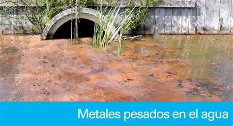 Metales Pesados En El Agua Efectos En La Salud Y Eliminarlo Carbotecnia