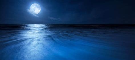 Full Moon over Beach in Florida Panoramic | Justin Kelefas Fine Art ...