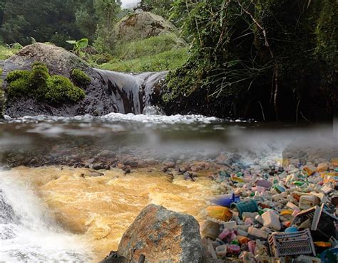 Radiografía de nuestros ríos muestra contaminación galopante Pensis