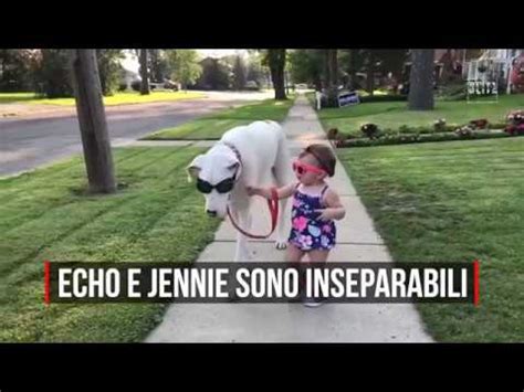 La Bambina E Il Cane Cieco E Sordo Sono Amici Inseparabili YouTube