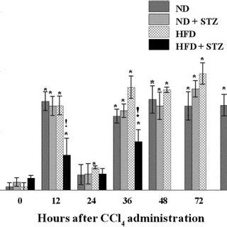 3 H Thymidine Incorporation Into Hepatonuclear DNA Over A Time Course