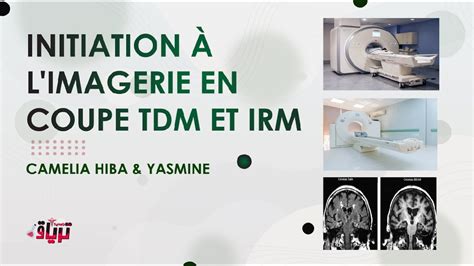 Radiologie INITIATION À L IMAGERIE EN COUPE TDM ET IRM par Camelia