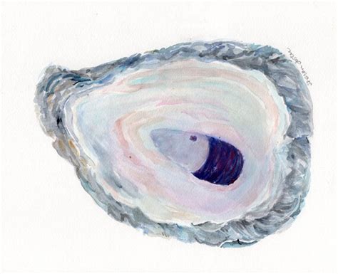 Original Oyster Shell Watercolor Painting X Oyster Etsy