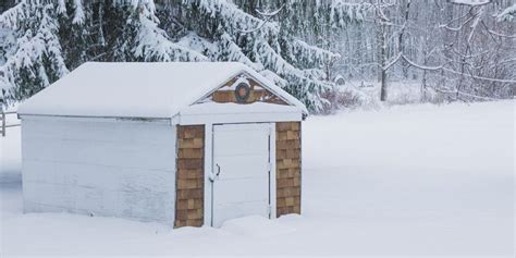 5 Best Shed Locks: Finding The Best Shed Door Locks For Your Structure ...