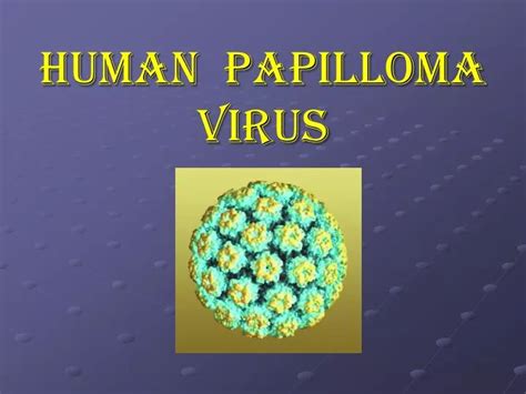 Ppt Human Papilloma Virus Powerpoint Presentation Free Download Id5597593