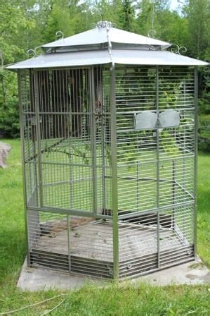 Designing An Outdoor Parrot Flight or Aviary - Hari