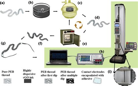 Schematic Of The Complete Process Involved In The Fabrication Of