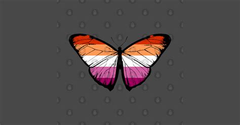 Vintage Lesbian Pride Flag Butterfly Moth Support Lesbian LGBTQ Pride Flag Lesbian Pride T