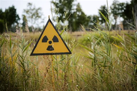 New insights into the effects of radiation from Chernobyl