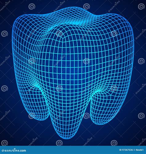 Tooth Wireframe Mesh Stock Vector Illustration Of Body