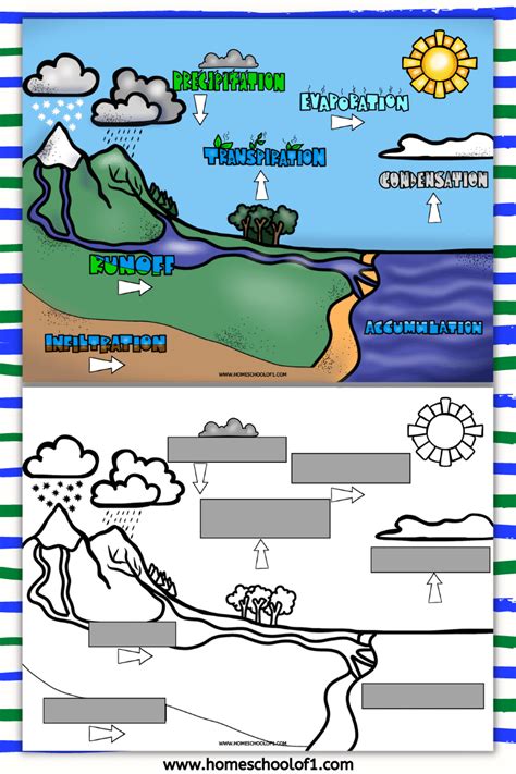 Water Cycle Worksheets (7 Free Printables)