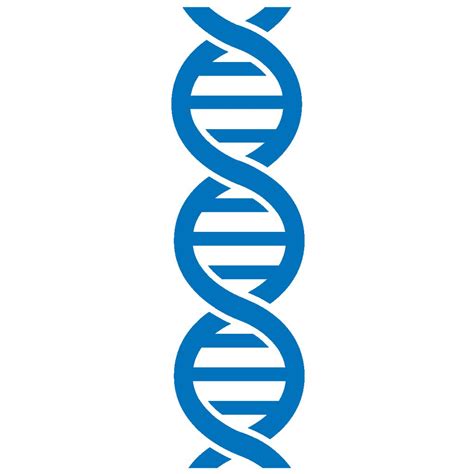 PATTERNS OF INHERITANCE - Gene People