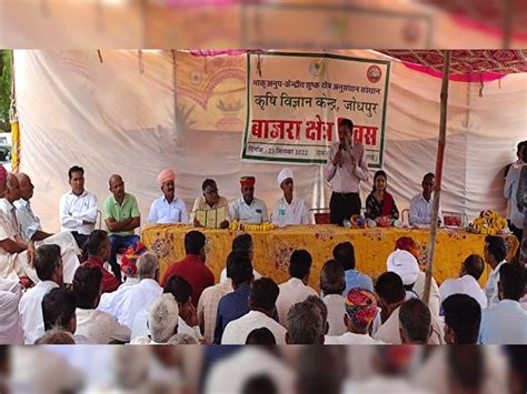 Bajra Crop Field Day Organized Kajri Krishi Vigyan Kendra Organized Kisan Mela बाजरा फसल फिल्ड