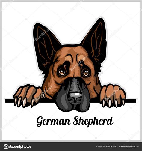 German Shepherd Drawing Cartoon