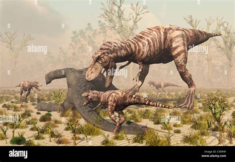 Dead Sauropod Carcass Hi Res Stock Photography And Images Alamy