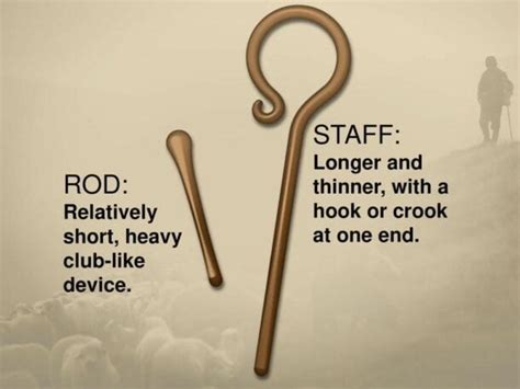 How Are The Shepherds Rod And Staff Different Reasons For Hope Jesus