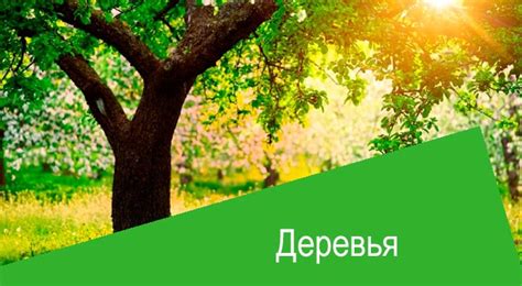 Актара инструкция по применению для хвойных деревьев - Самые разные ...