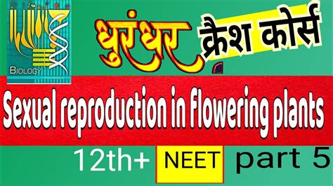 Sexual Reproduction In Flowering Plants Theory PYQ Class 12th