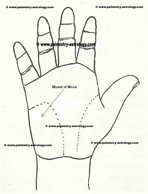 Palmistry Mount of MOON, free online palmistry- mounts on palm ...