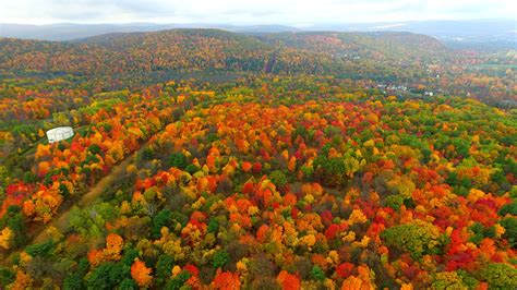 How to find historical data in the Binghamton Press & Sun-Bulletin obituaries 21