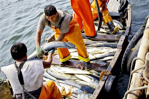 Bono del Pescador más de 1 700 pescadores son incorporados en la lista