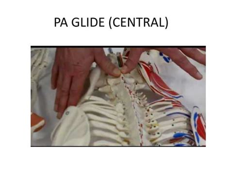 Introduction To Lumbar Spine Mobilisation Maitland And Mulligan Techniques Ppt