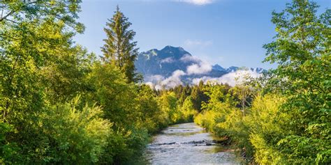 Naturschutzgebiet Allg Uer Hochalpen