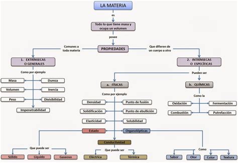 Esquema De La Materia ¡fotos And Guía 2024