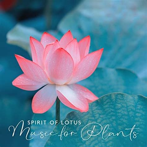 Spirit Of Lotus Music For Plants Maximize Your Plants Potential And