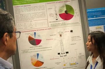 BIOSTAR des bioénergies pour les PME d Afrique de l Ouest