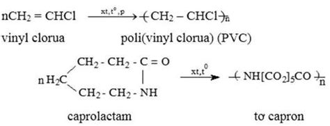 S Ho H C C A Caprolactam V Qu Tr Nh S N Xu T Polime M I Nh T